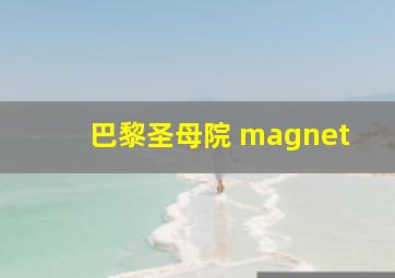 巴黎圣母院 magnet